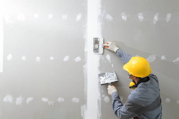 Best Environmental Consulting for Mold Prevention  in Dike, IA